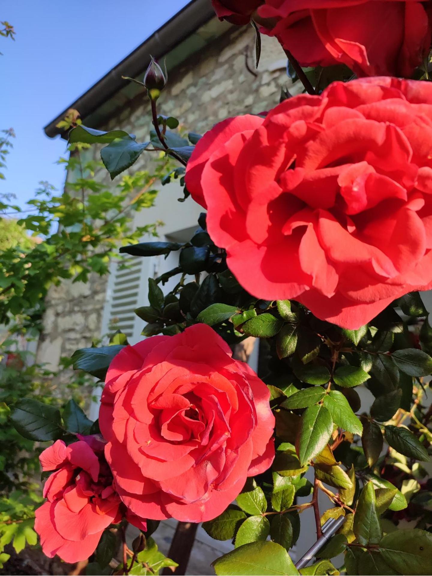 Gite En Plein Coeur Du Vignoble Chablisien Courgis Zewnętrze zdjęcie